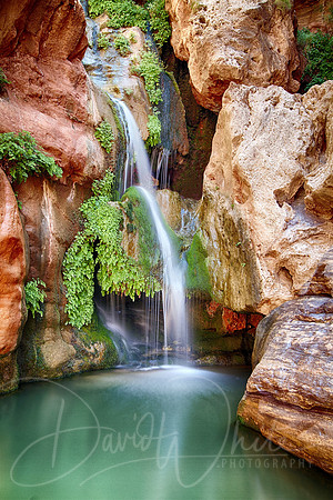 Elves Chasm in Grand Canyon