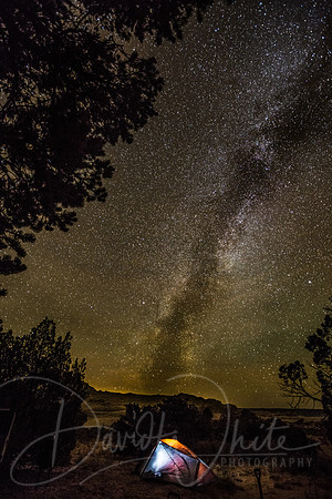 MIlkyway camping