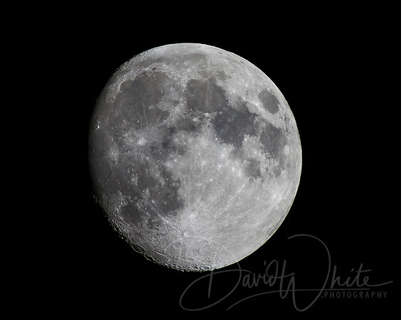 THE MOON
