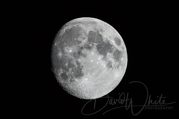 _MG_9283-Edit-2