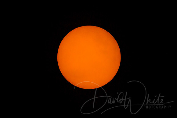 THE SUN