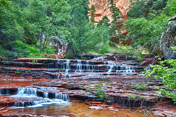 Archangel Cascades just below the Subway Left Fork of North Creek in Zion National Park
