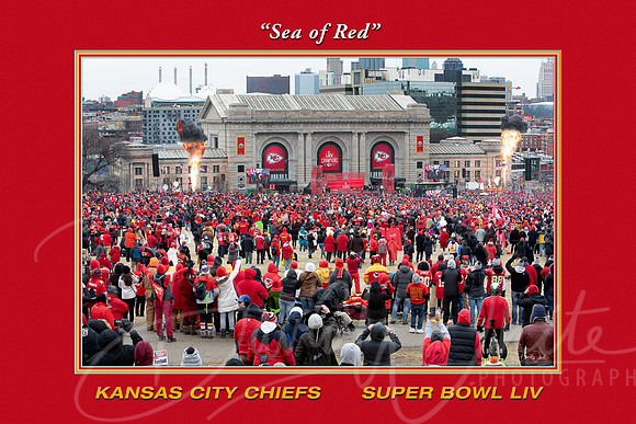 20x30ChiefsseaofRED