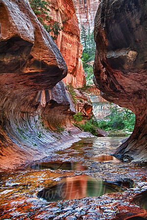 The Subway in Right Fork of North Creek, Zion National Park, Utah