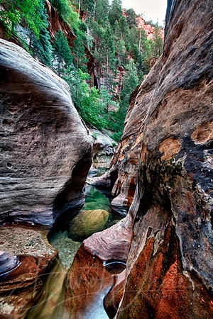 Above the Subway in Right Fork of North Creek, Zion National Park, Utah